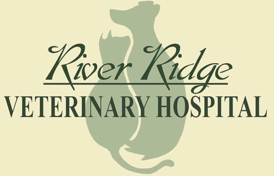 River Ridge Veterinary Hospital - Lewisville, Clemmons, Winston-Salem NC